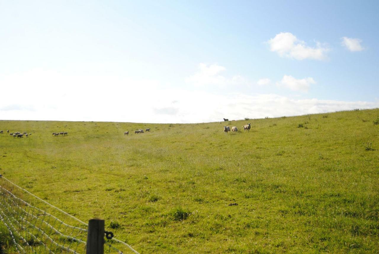 Annemaries Nordseehaus Butjadingen Dış mekan fotoğraf
