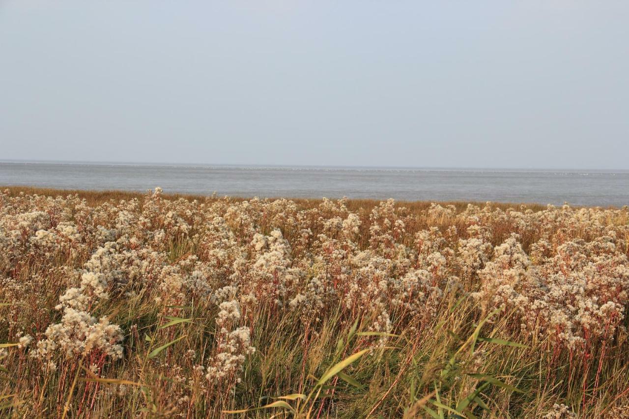 Annemaries Nordseehaus Butjadingen Dış mekan fotoğraf